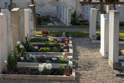 Čiščenje in urejanje grobov Monumentum